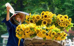 Thời tiết 26/3/2015: Miền Bắc khô ráo, miền Trung ngớt mưa