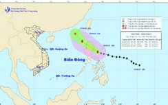 Siêu bão Maysak suy yếu thành áp thấp khi vào Biển Đông