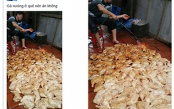 Sự thật bức ảnh đèn khò nướng gà trên nền nhà nhầy nhụa