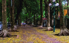 Thời tiết mát mẻ ở miền Bắc kéo dài bao lâu?