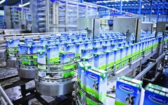 Hành trình 40 năm Giấc mơ sữa Việt