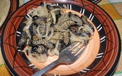 Thưởng thức món ăn Giáng sinh kinh dị nhất thế giới