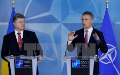 Hàng nghìn lính NATO vào Ukraine, "sát thủ bầu trời" Nga trực chiến