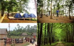 Tết Dương 2016, người Hà Nội đi chơi ở đâu?