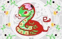 Vận mệnh người tuổi Tỵ năm 2016