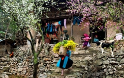 Những điểm du lịch hấp dẫn nhất dịp Tết Nguyên đán 2016