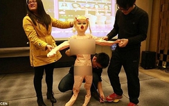 Thưởng Tết bằng búp bê tình dục cho nhân viên độc thân