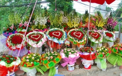 Lễ tình nhân 2016: Hoa hồng Valentine tăng giá "sốc" vì khan hiểm