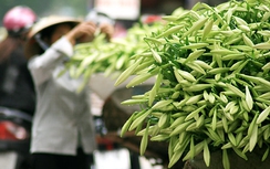 Thời tiết 5/4: Đông Bắc nồm ẩm kéo dài, Tây Bắc có nắng nóng