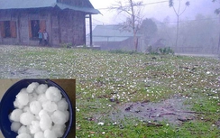 Mưa đá "khủng" ở Nghệ An làm 5 người bị thương