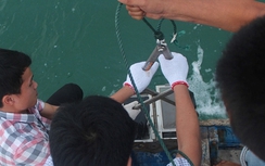 Đề nghị Bộ Quốc phòng quan trắc nước biển miền Trung