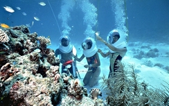 Những trải nghiệm không thể bỏ lỡ khi du lịch Nha Trang