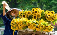 Thời tiết 7/7: Bắc Bộ hửng nắng, Nam Bộ mưa lớn diện rộng