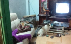 Người đàn ông chết ngồi, chú chó canh thi thể chủ suốt 2 ngày