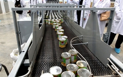 Hành trình 40 năm của sữa đặc Ông Thọ