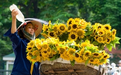 Thời tiết hôm nay 31/8: Nhiệt độ tăng nhẹ, đề phòng dông lốc