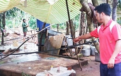 Ở nhà một mình, bé gái 11 tuổi bị chém tử vong