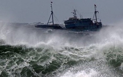 Tin bão Sarika mới nhất: Di chuyển nhanh, diễn biến phức tạp