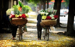 Thời tiết hôm nay ngày 28/10: Bắc Bộ nắng ráo trước ngày chuyển lạnh