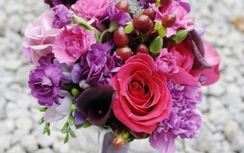 Gợi ý chọn quà 20/11 tặng cô giáo ý nghĩa nhất