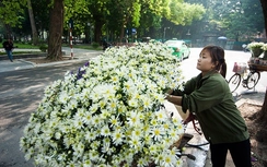 Dự báo thời tiết ngày 8/12 ở Hà Nội và các tỉnh thành