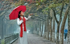 Dự báo thời tiết ngày 12/1: Bắc bộ mưa rét, có nơi 15 độ