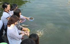 Rằm tháng Giêng: Phóng sinh thế nào để không chuốc họa?