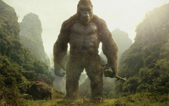 Thót tim xem bom tấn "Kong: Skull Island" quay tại Ninh Bình