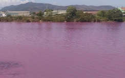 Hồ nước ở Bà Rịa-Vũng Tàu bất ngờ đổi thành màu hồng tím