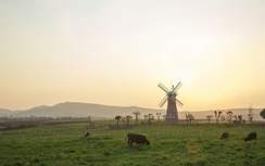 Hành trình ra mắt sữa tươi 100% Organic đầu tiên tại Việt Nam