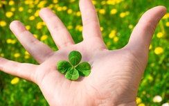 12 cung hoàng đạo tháng 5/2017