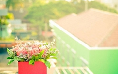 12 cung hoàng đạo Chủ nhật ngày 7/5/2017