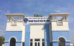 Vinamilk nhập hơn 2.000 con bò sữa cao sản từ Mỹ