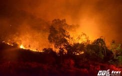 Tin mới vụ cháy rừng Sóc Sơn, Hà Nội lớn nhất lịch sử