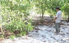 Bé 8 tuổi thoát chết sau khi bị sàm sỡ và quăng xuống sông