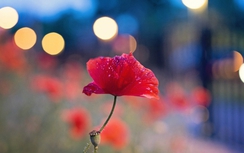 12 cung hoàng đạo thứ Hai ngày 10/7/2017