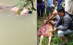 Video: Cá sấu kéo người xuống sông, một ngày sau đem trả thi thể?