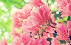 12 cung hoàng đạo thứ Hai ngày 24/7/2017