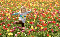 12 cung hoàng đạo thứ Năm ngày 3/8/2017