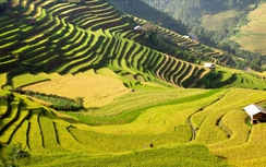 Bí kíp chọn tour nghỉ lễ 2/9 "chuẩn không cần chỉnh"