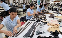 Quảng Nam thưởng Tết cao nhất 51 triệu đồng