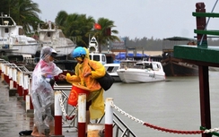 Đưa hơn 1000 khách mắc kẹt ngoài đảo Cù Lao Chàm về đất liền