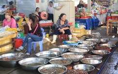 Đà Nẵng: Thủy sản điêu đứng vì người dân sợ "ăn nhầm" cá chết