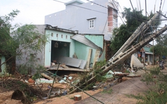 Bình Định không bắn pháo hoa, dành tiền hỗ trợ người dân vùng lũ