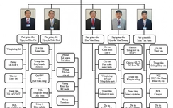 Thêm 1 Sở ở Bình Định có 5 Phó Giám đốc