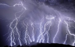 Một phụ nữ bị sét đánh chết giữa cánh đồng ở Bình Định