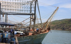 Tàu cá mất tích trong bão số 10: Chúng tôi nghĩ sẽ chết