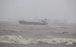 Bão số 12: 60 thuyền viên gặp nạn, Bình Định kêu cứu Chính phủ