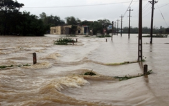 Bình Định: Lũ nhấn chìm cầu đường, hàng ngàn dân bị cô lập