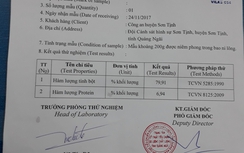 Kết luận vụ nghi dùng "gạo giả" cứu trợ vùng lũ Quảng Ngãi